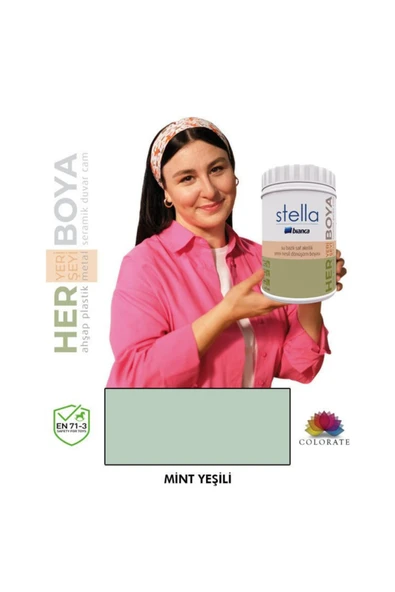 Bianca Stella Serisi Yeni Nesil Yüzey Dönüşüm Boyası 1 LT  Mint Yeşili Mint Yeşili ürün görseli 1