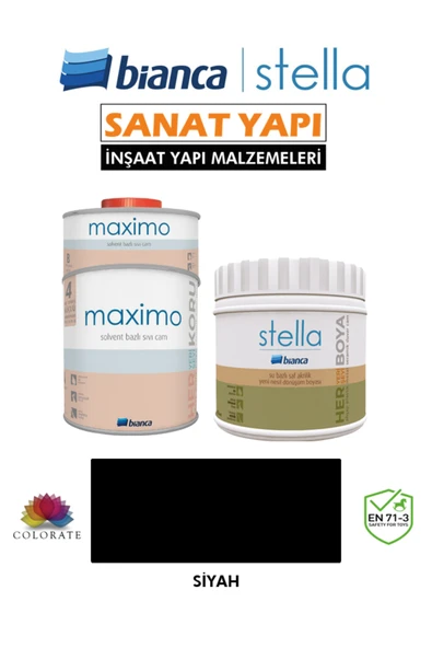 Bianca Stella 4-6 M2 Boyama Seti ( 500Ml Boya+ 500Ml Maximo Parlak ) Siyah ürün görseli 1