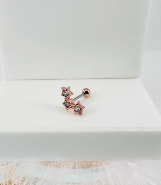 Rose Zirkon Taşlı Uç Kısmı : Pirinç Kıkırdak Bar Uzunluğu : 6 Mm / Bar Kalınlığı 0.8 Mm / Top Boyu 3 Mm - Pt0025-2 ürün görseli 1