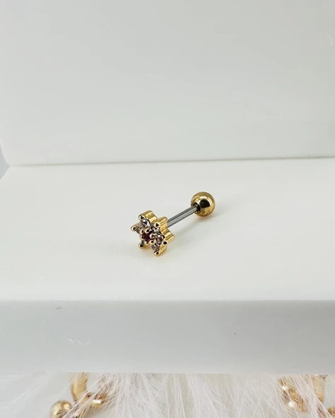 Zirkon Taşlı Uç Kısmı : Pirinç Kıkırdak Bar Uzunluğu : 6 Mm / Bar Kalınlığı 0.8 Mm / Top Boyu 3 Mm - Pt0004-1 ürün görseli 1