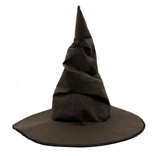 Harry Potter Seçmen Şapkası Çocuk Boy ürün görseli 1