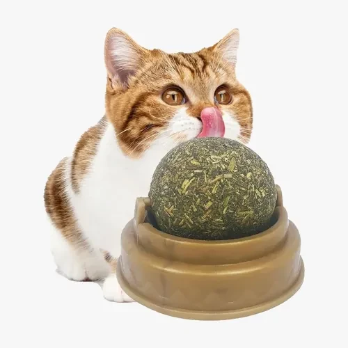 Kedi Nanesi Oyun Topu ürün görseli 1