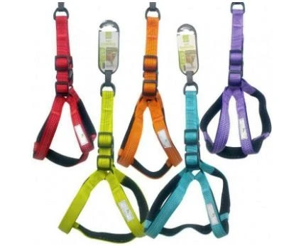 Nunbell Renkli Göğüs Tasması 2.5mm Yumuşak Doku ürün görseli 1
