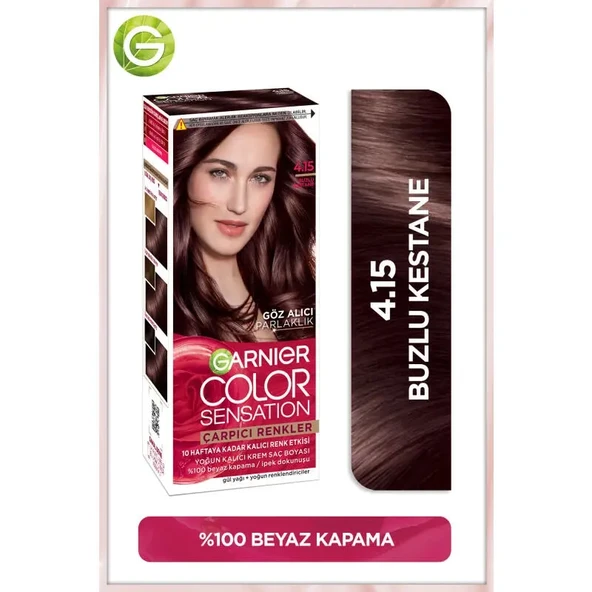 Garnier Çarpıcı Renkler Yoğun Kalıcı Saç Boyası No: 4.15 Buzlu Kestane ürün görseli 1