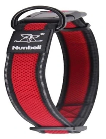 Nunbell Air Mesh Köpek Boyun Tasması 2.5 Cm ürün görseli 1