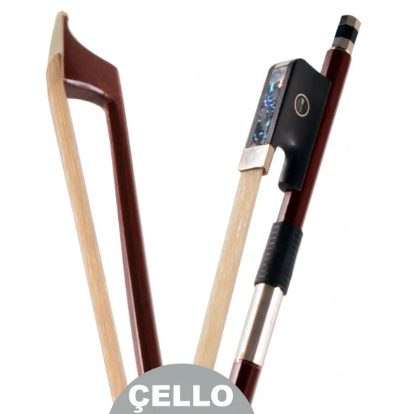 Çello Yayı CB44P ürün görseli 1