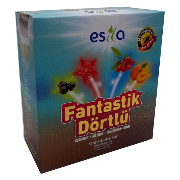 Fantastik Dörtlü Bitkisel Yaz Çayı 45 Süzen Poşet - Resim 4