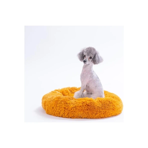 Pawstar Lüx Donut Kedi Köpek Yatağı Yıkanabilir Hardal 55 cm ürün görseli 1