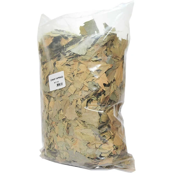 Doğal Çınar Yaprağı 1000 Gr Paket - Resim 2