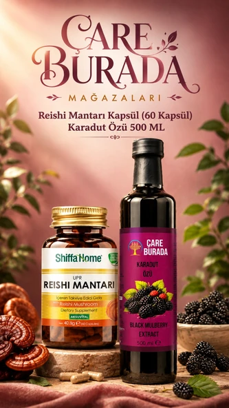 Reishi Mantarı Kapsül (60 Kapsül) & Karadut Özü 500 Ml ürün görseli 1