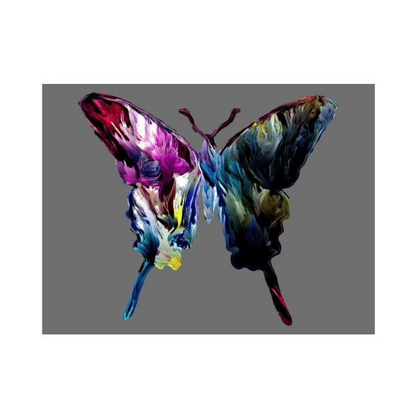 Colorful Butterfly Yağlı Boya Dokulu Tablo ürün görseli 1
