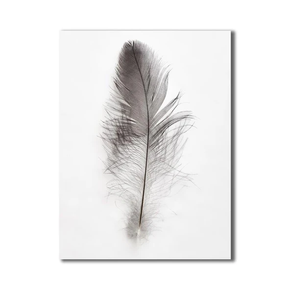 Feather 2 Yağlı Boya Dokulu Tablo - Resim 2