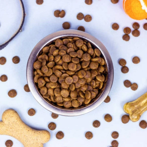Nutri Feline Glutensiz Somonlu Düşük Tahıllı Açık Yavru Kedi Maması 3 kg ürün görseli 1