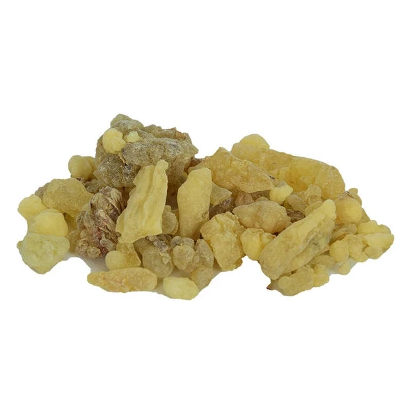 Ak Günlük Sakızı Doğal 100 Gr Paket ürün görseli 1