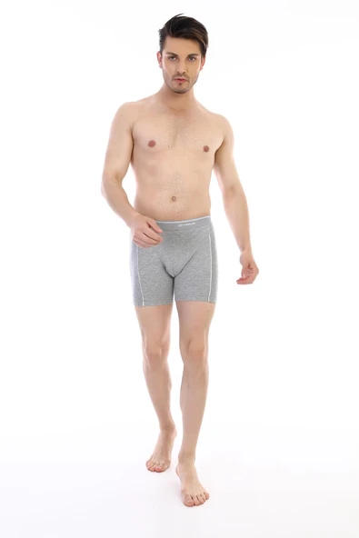 Çift Kaplan 855 Uzun Erkek Boxer ürün görseli 1