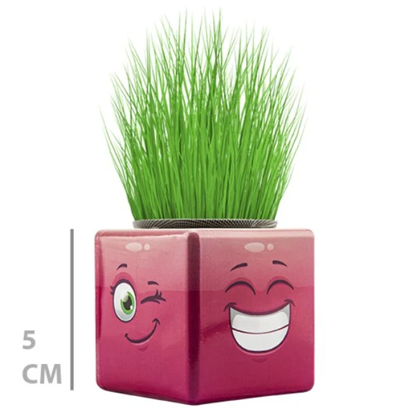 Çim Adam Mini Küp Emoji Figürlü 1 Adet - Resim 3