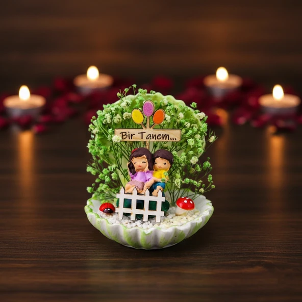 Mini Midye Teraryum - Özel Gün Hediyesi - Resim 3