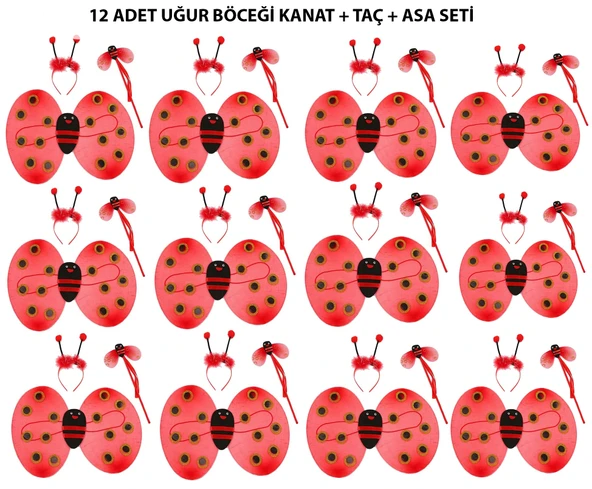 Uğur Böceği Kostüm Seti - Kanat, Taç, Asa 12 Adet ürün görseli 1