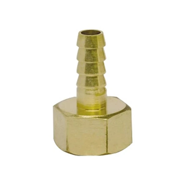 HORTUM GİRİŞİ 1/2" (DİŞİ) ürün görseli 1