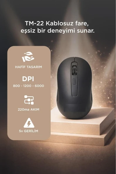 Kablosuz Mouse Usb Alıcılı Fare TM22 Siyah ürün görseli 1