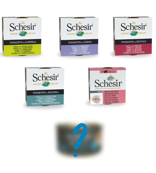 Schesir 6 Çeşit Karışık Kedi Konservesi 6 Al 5 Öde Paket ürün görseli 1