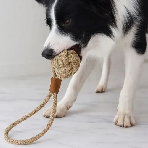 Mikopet Köpek Oyun Topu - Resim 3