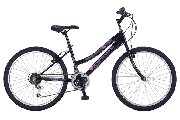 Salcano Excel Lady 24"Jant V Fren 14 Kadro 21 Vites Dağ Bisikleti Siyah Mor ürün görseli 1