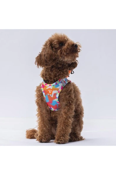 Pawstar Air Mesh Harness Göğüs Tasması A26 Mosaic Large ürün görseli 1