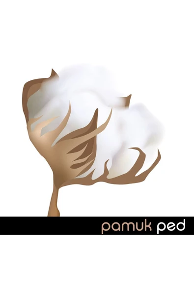 Lady Fit Pamuk Ped Mega Gece 36 Ped - Resim 3