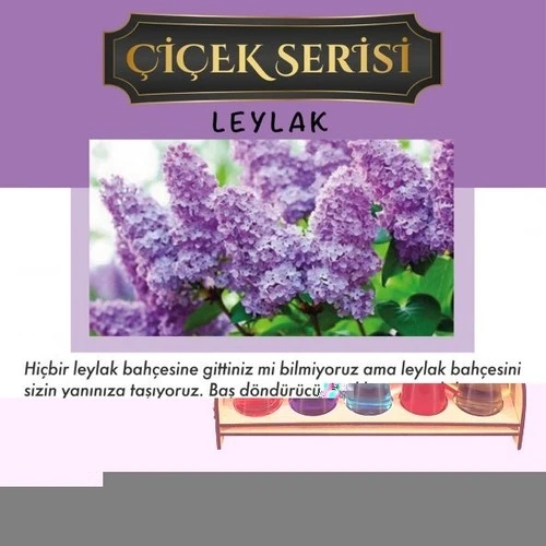 Koku Hanem Toptan Aşk-I Sermest Beyaz Ahşap Standlı 30 Adet 8 ml Magnolia Araç Parfümü Oto Araba Kokusu ürün görseli 1