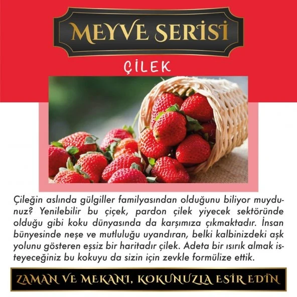 Aşk-ı Sermest Toptan Meczub Meyve Serisi Çilek Kokulu 10 x 10 ml Üçgen Şişe Oto Kokusu ürün görseli 1
