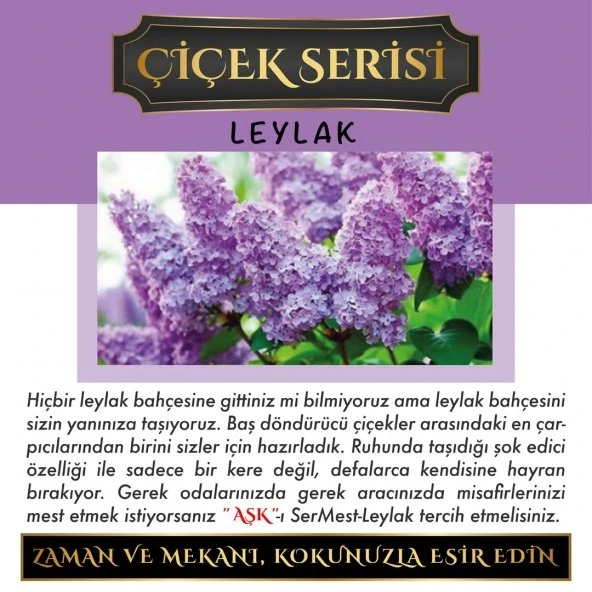Aşk-ı Sermest Toptan Ölümsüz Aşk Parfüm Serisi Onee Miilleon Kokulu 5 x 10 ml Üçgen Şişe Oto Kokusu ürün görseli 1