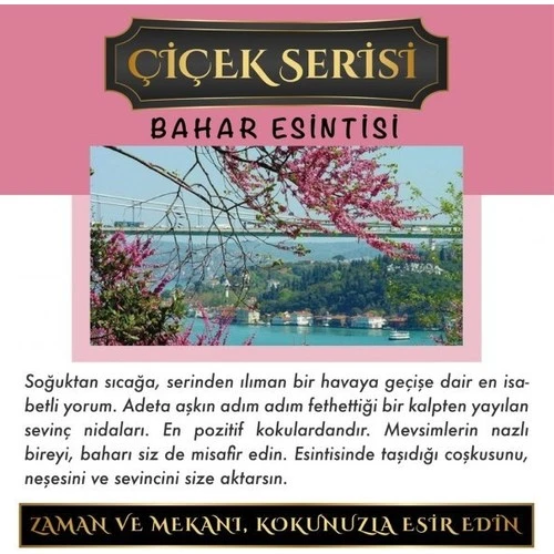 Koku Hanem Toptan Meczub Çiçek Serisi Bahar Esintisi 10 Adet 8 ml Silindir Şişe Oto Kokusu Araç Araba Parfümü ürün görseli 1