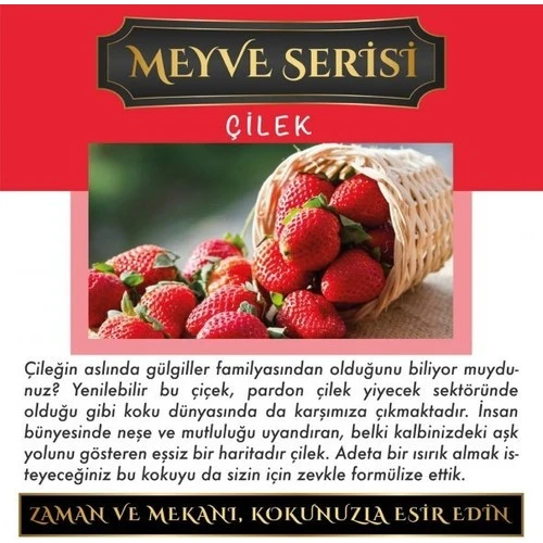 Koku Hanem Toptan Meczub Meyve Serisi Çilek 10 Adet 10 ml Üçgen Şişe Oto Kokusu Araç Araba Parfümü ürün görseli 1
