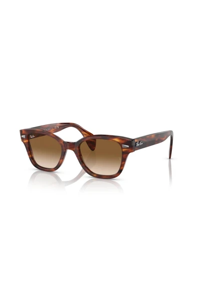 Ray-Ban RB 0880S 954 51 52Unisex Güneş Gözlüğü ürün görseli 1