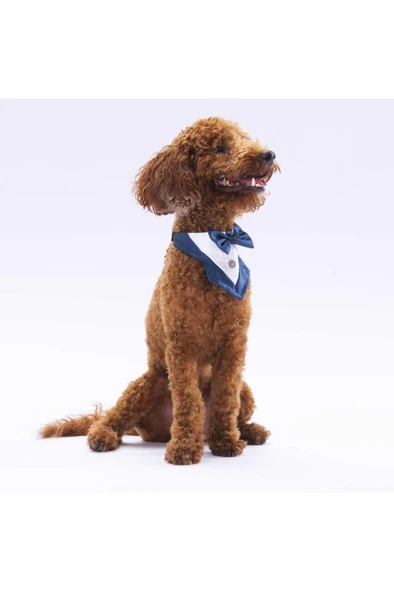 Pawstar Lüx Küçük Köpek FS4 Lacivert Smokin Fular Fular 1tane ürün görseli 1