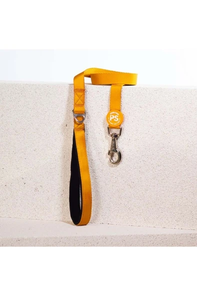 Pawstar Air Köpek Sevk Kayışı L07 Gold 135 cm ürün görseli 1
