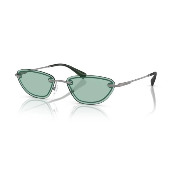 Emporio Armani 0EA2158 3003/257 Kadın Güneş Gözlüğü ürün görseli 1