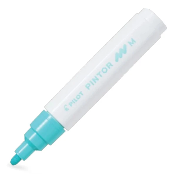Pilot Pintor (M) Pastel Yeşil Sw-pt-m-pg - Resim 2