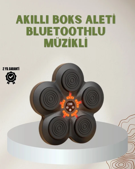 Bluetoothlu Akıllı Boks Antrenman Cihazı Işıklı Hedefli Kardiyo Ve Fitness Aleti ürün görseli 1