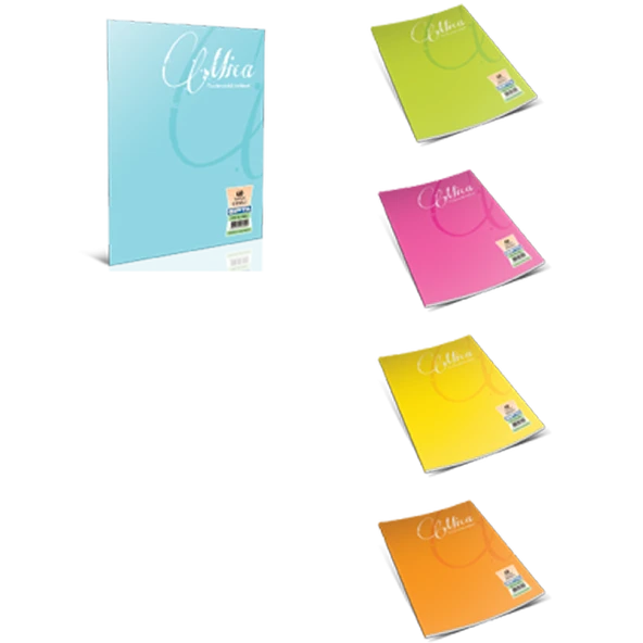 Gıpta Defter (Dikişli ) Mica Plastik Kapak Kareli 40 YP A4 1703 ürün görseli 1