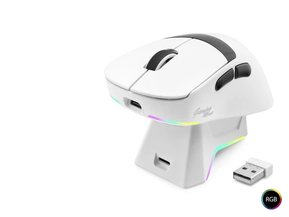 Kablosuz Gaming Rgb Mouse Şarj Standlı - Beyaz MF1216W ürün görseli 1