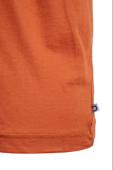Outdoor T-shirt Günlük Pamuklu Basic Erkek TICOL01 - Resim 9