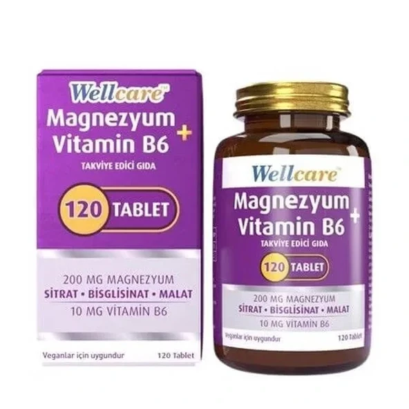WELLCARE MAGNEZYUM VİTAMİN B6 120 TABLET ürün görseli 1