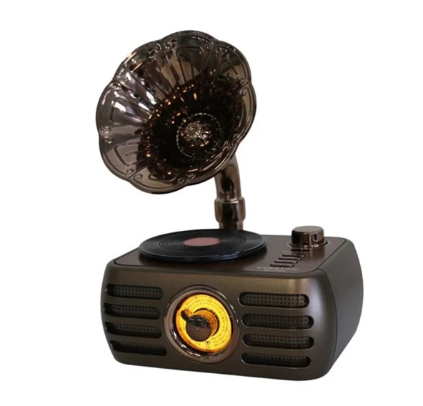 Everton Rt-704 Gramafonlu Bluetooth Fm-Usb-Tf-Aux  Şarjlı Nostaljik Radyo ürün görseli 1