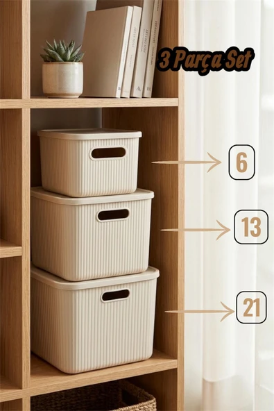 Bayev 3 Boy 6 13 21 Litre Colors Krem Kapaklı Düzenleyici Organizer Kapaklı Saklama Kutusu Çizgili Dekoratif ürün görseli 1