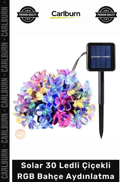 #Solar Dış Mekan Peyzaj Solar 30 Ledli Çiçekli RGB Bahçe Aydınlatma Dekorasyon Güneş Enerjili ürün görseli 1