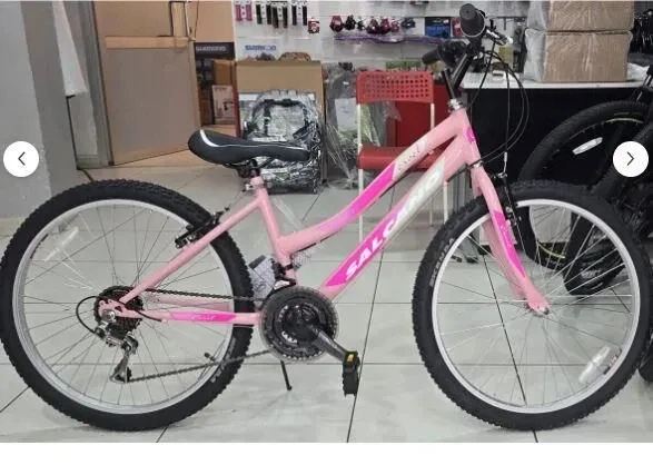 Salcano Excel 24 Lady V Fren 21 Vites 24 Jant Dağ Bisikleti Pudra Pembe ürün görseli 1