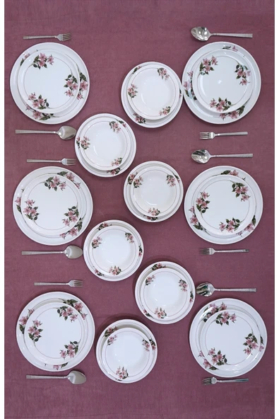 Hooly Home Kar Çiçeği Model 6 Kişilik 24 Parça Yemek Takımı vişne ürün görseli 1