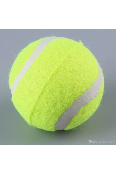 Flipper Pet FLİPPER PET SARI KAUÇUK İÇİ DOLU SERT KÖPEK TENİS TOPU (ADET) ürün görseli 1